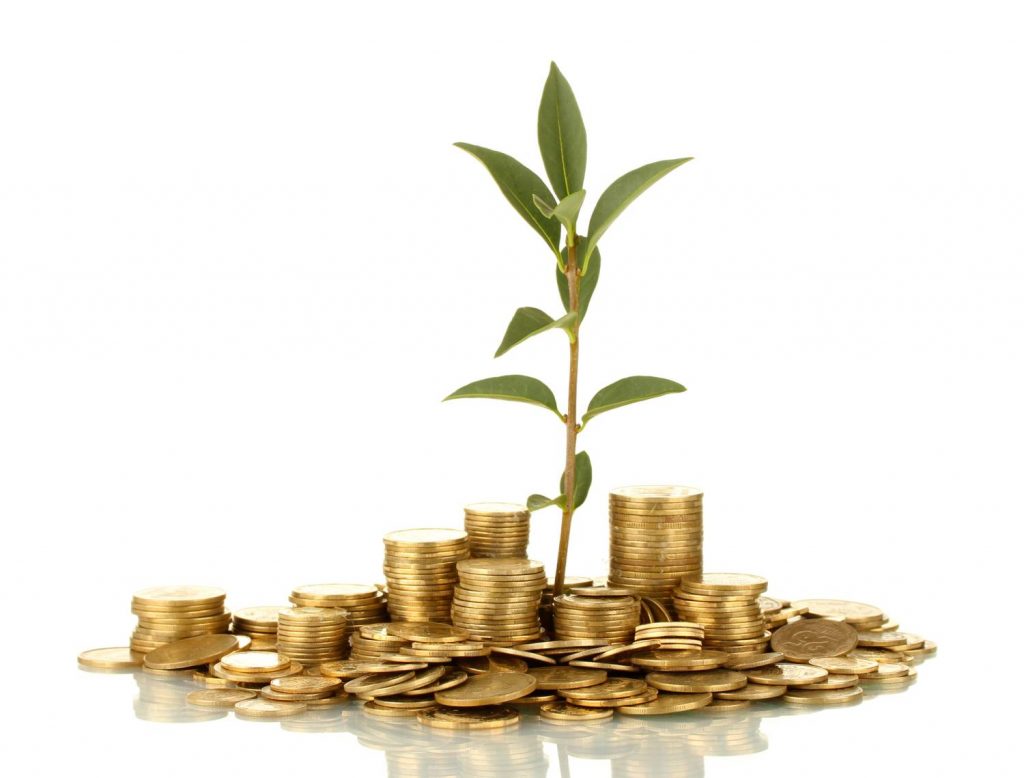 coin growing money tree